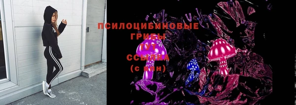 бутират Няндома