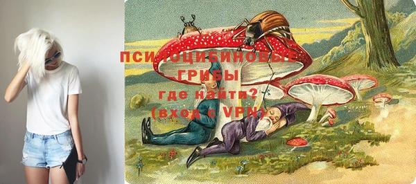 герыч Новодвинск