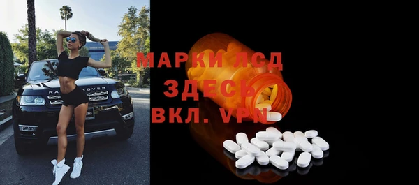 таблы Болотное